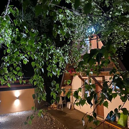 Vikendica Stojanovic Villa Mionica Exterior foto