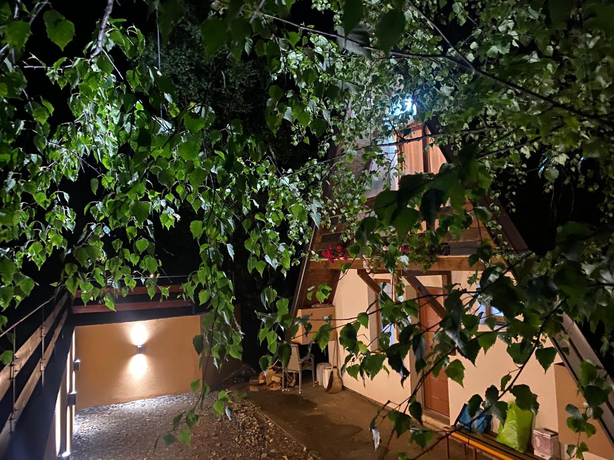 Vikendica Stojanovic Villa Mionica Exterior foto